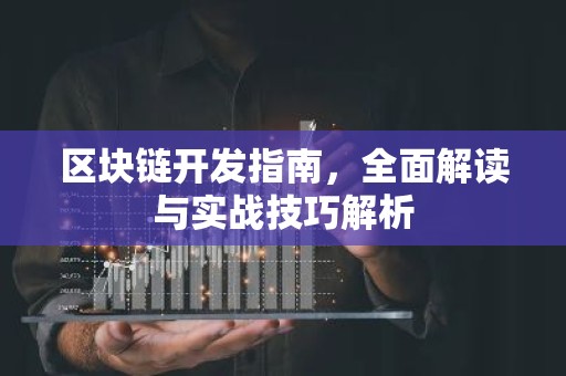 区块链开发指南，全面解读与实战技巧解析