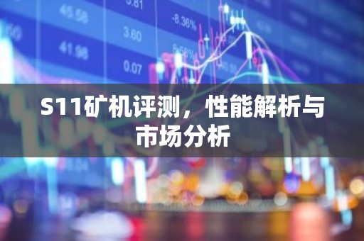 S11矿机评测，性能解析与市场分析