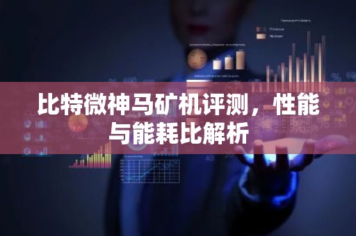 比特微神马矿机评测，性能与能耗比解析