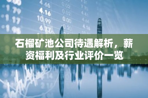 石榴矿池公司待遇解析，薪资福利及行业评价一览