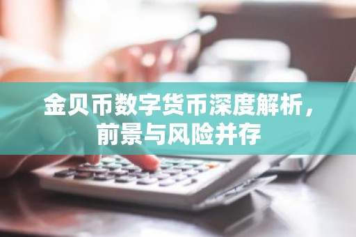 金贝币数字货币深度解析，前景与风险并存