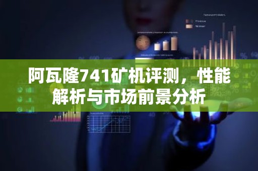 阿瓦隆741矿机评测，性能解析与市场前景分析
