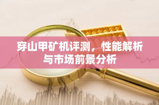 穿山甲矿机评测，性能解析与市场前景分析