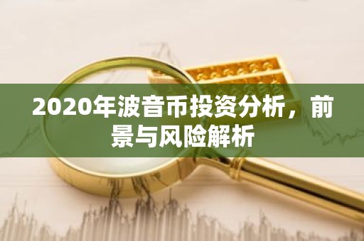 2020年波音币投资分析，前景与风险解析