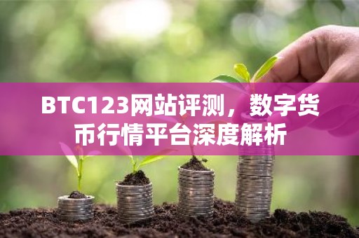 BTC123网站评测，数字货币行情平台深度解析