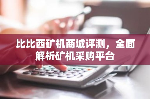 比比西矿机商城评测，全面解析矿机采购平台