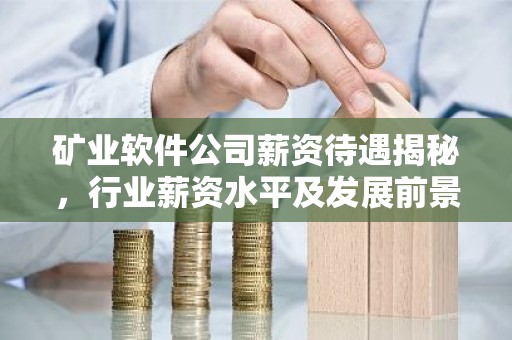 矿业软件公司薪资待遇揭秘，行业薪资水平及发展前景
