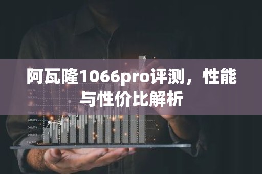 阿瓦隆1066pro评测，性能与性价比解析