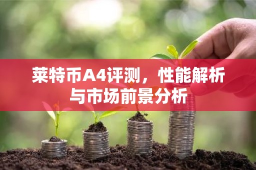 莱特币A4评测，性能解析与市场前景分析