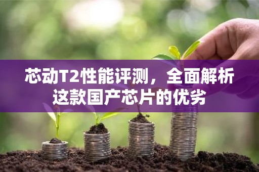 芯动T2性能评测，全面解析这款国产芯片的优劣