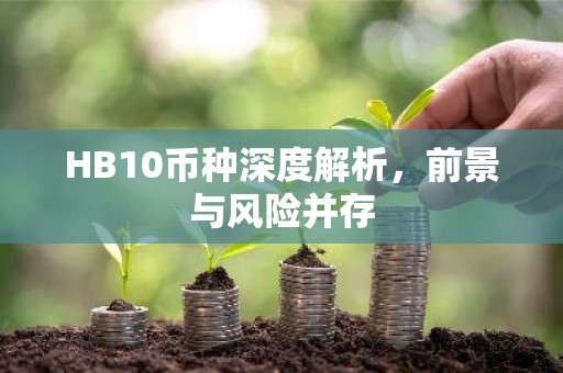 HB10币种深度解析，前景与风险并存