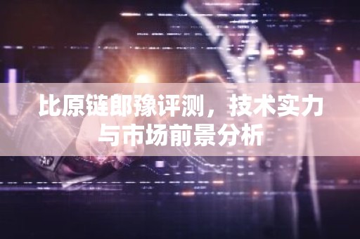比原链郎豫评测，技术实力与市场前景分析
