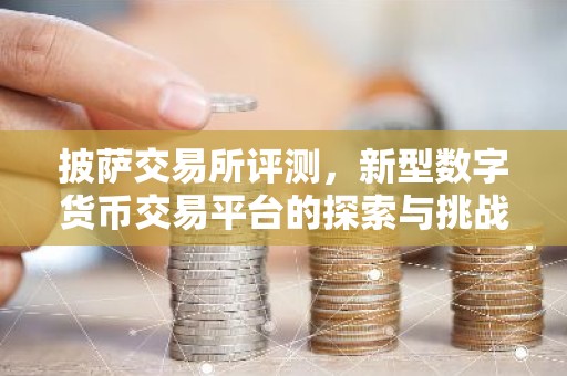 披萨交易所评测，新型数字货币交易平台的探索与挑战