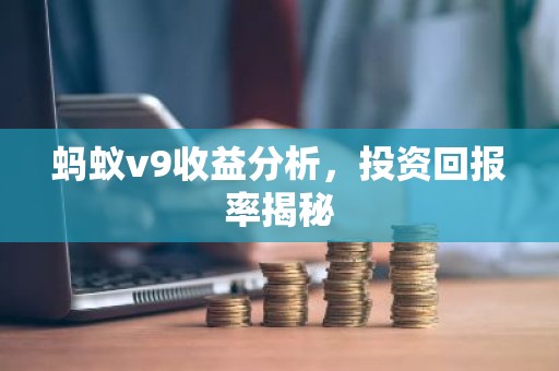 蚂蚁v9收益分析，投资回报率揭秘
