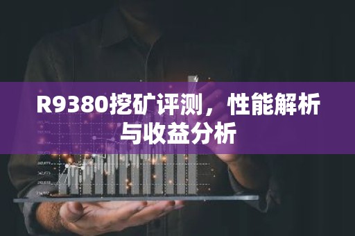 R9380挖矿评测，性能解析与收益分析