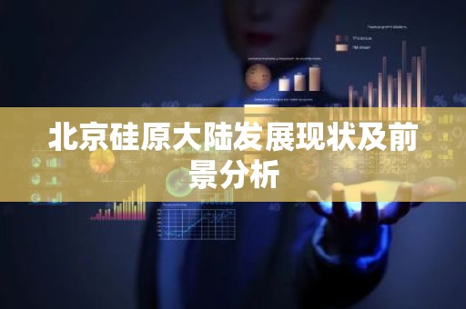 北京硅原大陆发展现状及前景分析