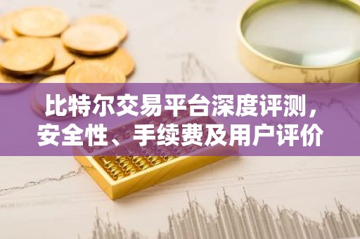 比特尔交易平台深度评测，安全性、手续费及用户评价解析