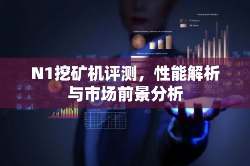 N1挖矿机评测，性能解析与市场前景分析