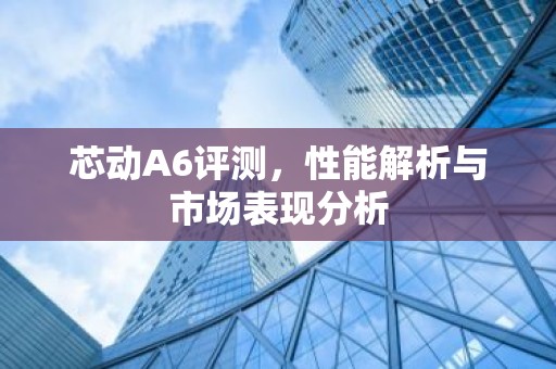 芯动A6评测，性能解析与市场表现分析