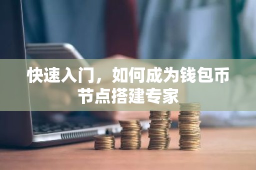 快速入门，如何成为钱包币节点搭建专家