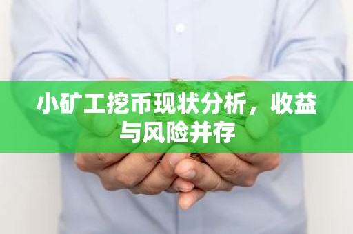 小矿工挖币现状分析，收益与风险并存