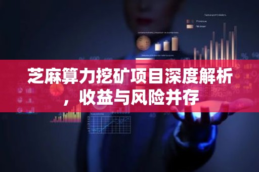 芝麻算力挖矿项目深度解析，收益与风险并存