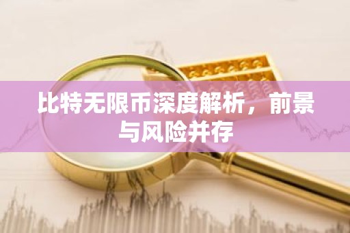 比特无限币深度解析，前景与风险并存