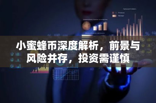 小蜜蜂币深度解析，前景与风险并存，投资需谨慎