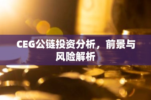 CEG公链投资分析，前景与风险解析