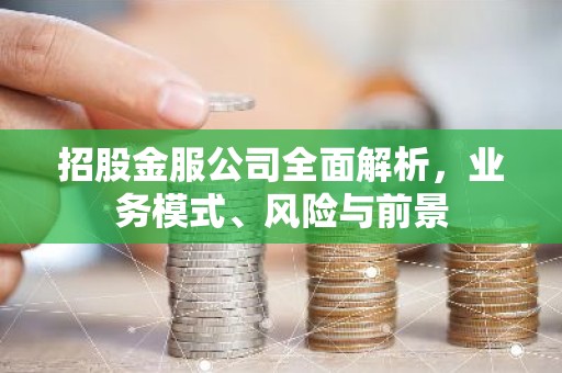 招股金服公司全面解析，业务模式、风险与前景