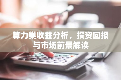 算力巢收益分析，投资回报与市场前景解读