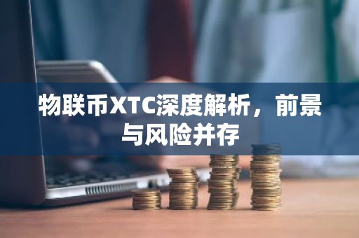 物联币XTC深度解析，前景与风险并存