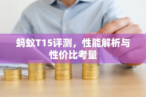 蚂蚁T15评测，性能解析与性价比考量