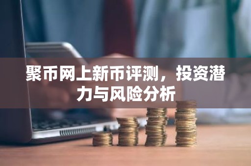 聚币网上新币评测，投资潜力与风险分析