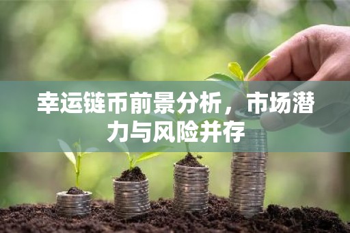 幸运链币前景分析，市场潜力与风险并存