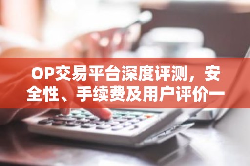 OP交易平台深度评测，安全性、手续费及用户评价一览
