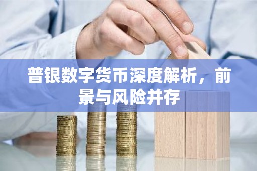 普银数字货币深度解析，前景与风险并存