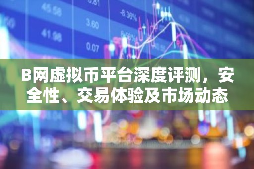 B网虚拟币平台深度评测，安全性、交易体验及市场动态