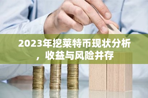 2023年挖莱特币现状分析，收益与风险并存