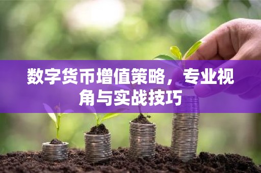 数字货币增值策略，专业视角与实战技巧