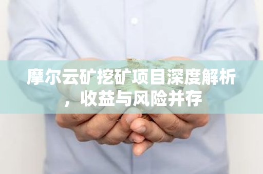 摩尔云矿挖矿项目深度解析，收益与风险并存