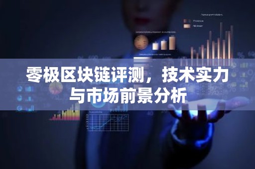 零极区块链评测，技术实力与市场前景分析