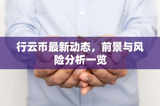 行云币最新动态，前景与风险分析一览