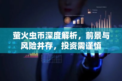 萤火虫币深度解析，前景与风险并存，投资需谨慎