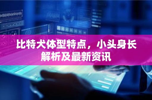 比特犬体型特点，小头身长解析及最新资讯