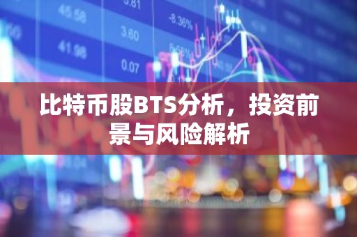 比特币股BTS分析，投资前景与风险解析