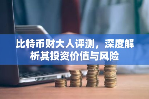 比特币财大人评测，深度解析其投资价值与风险