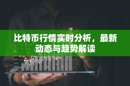 比特币行情实时分析，最新动态与趋势解读
