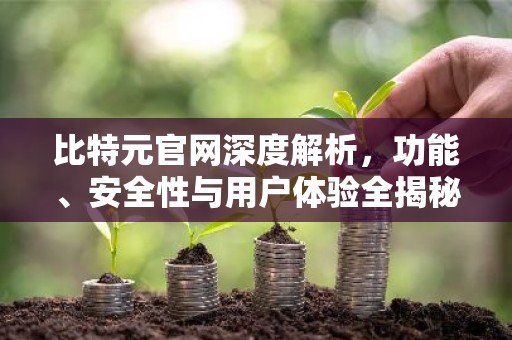 比特元官网深度解析，功能、安全性与用户体验全揭秘