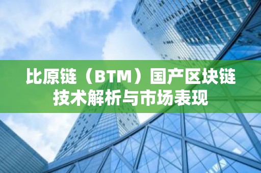 比原链（BTM）国产区块链技术解析与市场表现